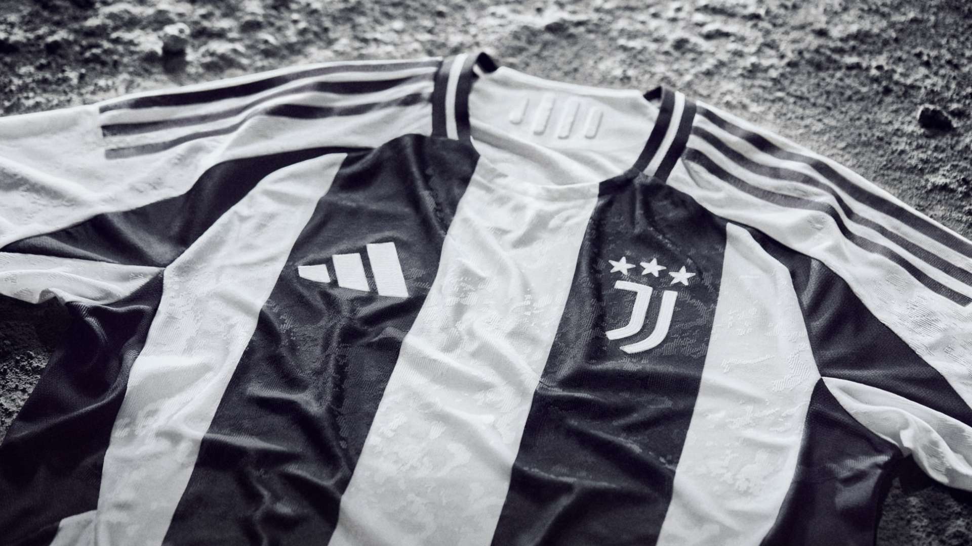 围内受到了 围内受到了