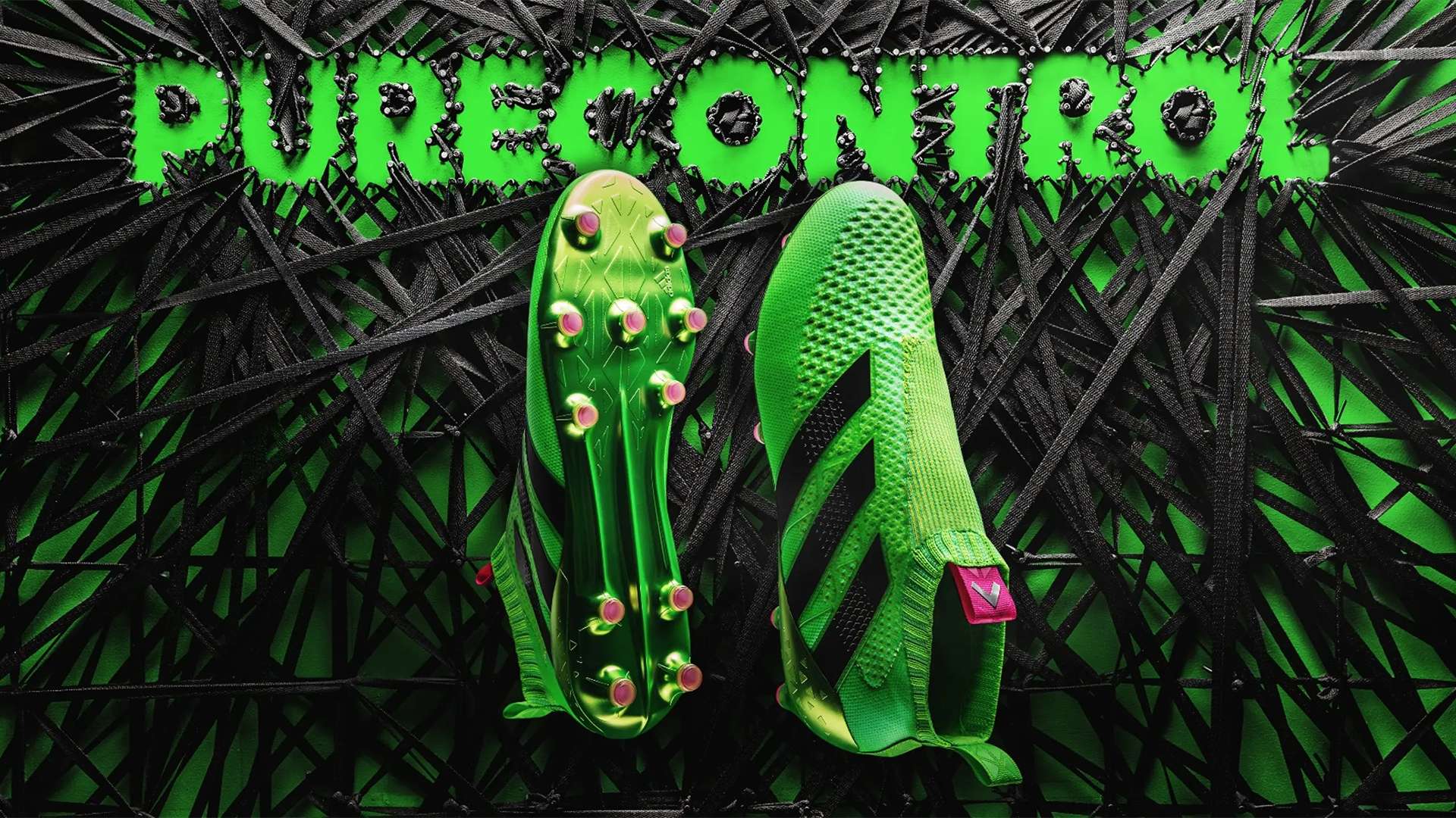 媒体关注 媒体关注